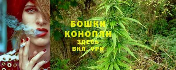 соль ск Бородино