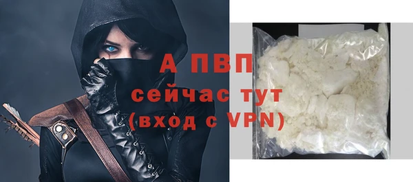 соль ск Бородино