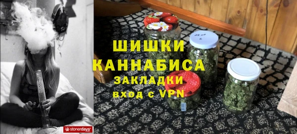 соль ск Бородино