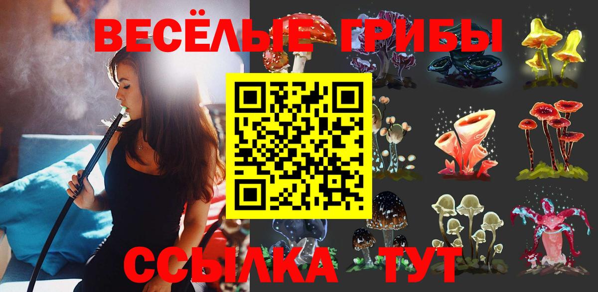 Псилоцибиновые грибы прущие грибы Великий Устюг