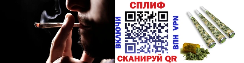 как найти   Великий Устюг  Бошки марихуана Amnesia 